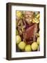 The Hindu Goddess Durga at Diwali Celebration at the Paris Ganesh Temple, Paris, France, Europe-Godong-Framed Photographic Print