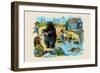 The Hippo's Costume Was Too Small by Half-null-Framed Art Print