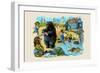 The Hippo's Costume Was Too Small by Half-null-Framed Art Print