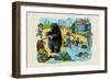 The Hippo's Costume Was Too Small by Half-null-Framed Art Print