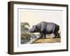 The Hippopotamus, 1804-Samuel Daniell-Framed Giclee Print