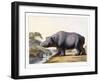 The Hippopotamus, 1804-Samuel Daniell-Framed Giclee Print