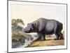 The Hippopotamus, 1804-Samuel Daniell-Mounted Giclee Print