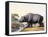 The Hippopotamus, 1804-Samuel Daniell-Framed Stretched Canvas