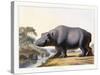 The Hippopotamus, 1804-Samuel Daniell-Stretched Canvas