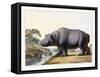 The Hippopotamus, 1804-Samuel Daniell-Framed Stretched Canvas