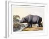 The Hippopotamus, 1804-Samuel Daniell-Framed Giclee Print