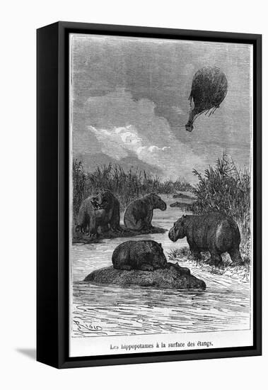 The Hippopotamus, Illustration from "Five Weeks in a Balloon" by Jules Verne Paris, Hetzel-Édouard Riou-Framed Stretched Canvas