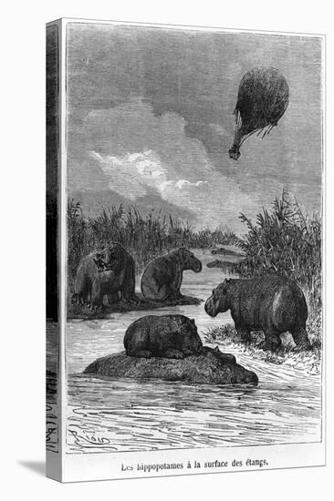 The Hippopotamus, Illustration from "Five Weeks in a Balloon" by Jules Verne Paris, Hetzel-Édouard Riou-Stretched Canvas