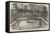 The Hippopotamus in His New Bath in the Zoological Society's Gardens, Regent's Park-null-Framed Stretched Canvas