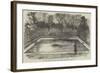 The Hippopotamus in His New Bath in the Zoological Society's Gardens, Regent's Park-null-Framed Giclee Print