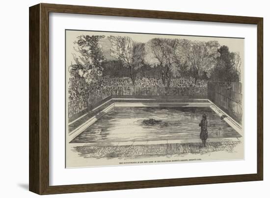 The Hippopotamus in His New Bath in the Zoological Society's Gardens, Regent's Park-null-Framed Premium Giclee Print