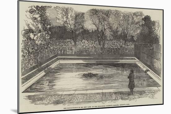 The Hippopotamus in His New Bath in the Zoological Society's Gardens, Regent's Park-null-Mounted Premium Giclee Print