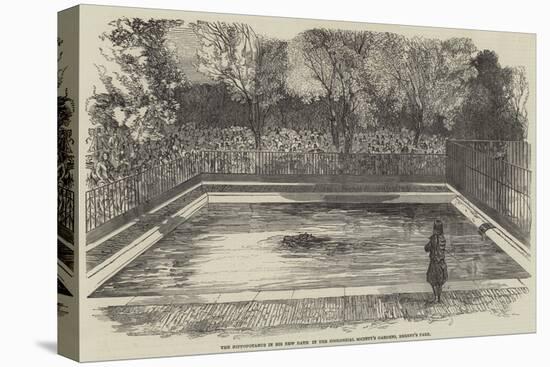 The Hippopotamus in His New Bath in the Zoological Society's Gardens, Regent's Park-null-Stretched Canvas