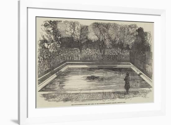 The Hippopotamus in His New Bath in the Zoological Society's Gardens, Regent's Park-null-Framed Giclee Print