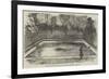 The Hippopotamus in His New Bath in the Zoological Society's Gardens, Regent's Park-null-Framed Giclee Print