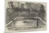 The Hippopotamus in His New Bath in the Zoological Society's Gardens, Regent's Park-null-Mounted Giclee Print