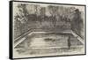 The Hippopotamus in His New Bath in the Zoological Society's Gardens, Regent's Park-null-Framed Stretched Canvas