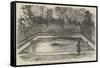 The Hippopotamus in His New Bath in the Zoological Society's Gardens, Regent's Park-null-Framed Stretched Canvas