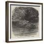 The Hippopotamus in the Gardens of the Zoological Society, Regent'S-Park-Joseph Wolf-Framed Giclee Print