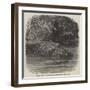 The Hippopotamus in the Gardens of the Zoological Society, Regent'S-Park-Joseph Wolf-Framed Premium Giclee Print