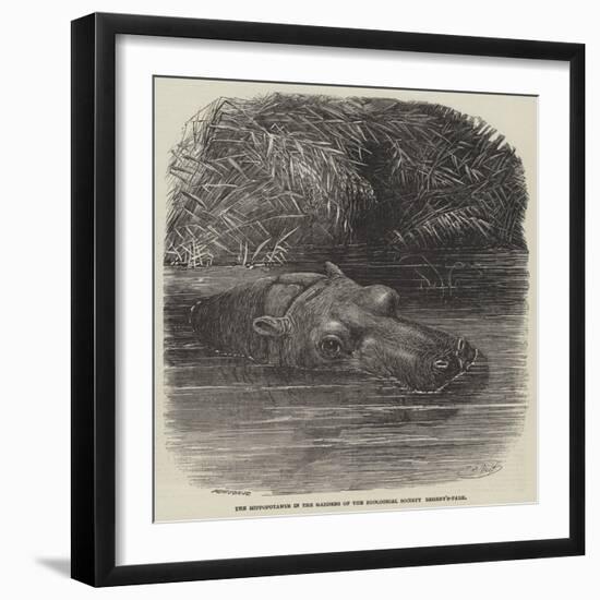 The Hippopotamus in the Gardens of the Zoological Society, Regent'S-Park-Joseph Wolf-Framed Premium Giclee Print