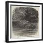 The Hippopotamus in the Gardens of the Zoological Society, Regent'S-Park-Joseph Wolf-Framed Premium Giclee Print