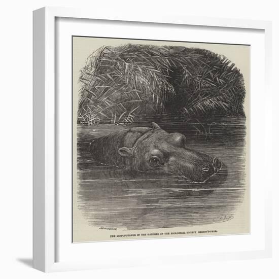 The Hippopotamus in the Gardens of the Zoological Society, Regent'S-Park-Joseph Wolf-Framed Premium Giclee Print