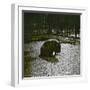 The Hippopotamus in the Jardin Des Plantes, Paris, Circa 1895-1900-Leon, Levy et Fils-Framed Photographic Print