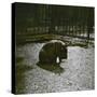 The Hippopotamus in the Jardin Des Plantes, Paris, Circa 1895-1900-Leon, Levy et Fils-Stretched Canvas