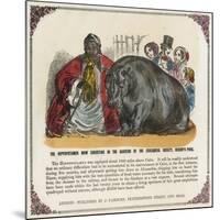 The Hippopotamus Now Exhibiting in the Gardens of the Zoological Society Print-null-Mounted Giclee Print