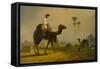 The Hirkarrah Camel (A Scene in the East Indies), 1832-William Daniell-Framed Stretched Canvas