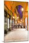 The Historic Centre of Bologna, UNESCO World Heritage Site, Emilia-Romagna, Italy, Europe-Julian-Mounted Photographic Print