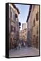 The Historic Centre of San Gimignano, UNESCO World Heritage Site, Tuscany, Italy, Europe-Julian Elliott-Framed Stretched Canvas