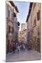 The Historic Centre of San Gimignano, UNESCO World Heritage Site, Tuscany, Italy, Europe-Julian Elliott-Mounted Photographic Print