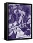 The History of Aladdin-Thomas Dalziel-Framed Stretched Canvas