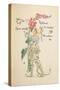 The Hollyhock from the 'Flora's Feast'-Walter Crane-Stretched Canvas