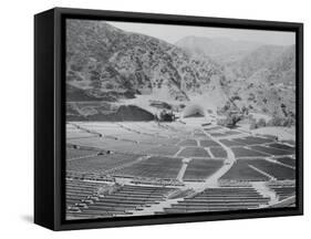 The Hollywood Bowl-null-Framed Stretched Canvas
