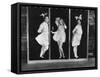 The Hollywood Review of 1929, from Left: Marie Dressler, Bessie Love, Polly Moran, 1929-null-Framed Stretched Canvas