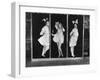 The Hollywood Review of 1929, from Left: Marie Dressler, Bessie Love, Polly Moran, 1929-null-Framed Photo