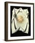 The Holy Face-Francisco de Zurbarán-Framed Giclee Print