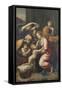 The Holy Family After Raphael Tapestry-null-Framed Stretched Canvas