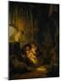 The Holy Family, Also Known as the Household of the Carpenter, 1640-Rembrandt van Rijn-Mounted Giclee Print