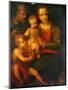 The Holy Family And St John, 1501-Italian School-Mounted Giclee Print