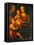 The Holy Family And St John, 1501-Italian School-Framed Stretched Canvas