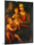 The Holy Family And St John, 1501-Italian School-Mounted Giclee Print