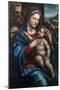 The Holy Family by Giovanni Antonio Bazzi Sodoma-Giovanni Antonio Bazzi Sodoma-Mounted Giclee Print