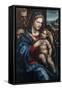 The Holy Family by Giovanni Antonio Bazzi Sodoma-Giovanni Antonio Bazzi Sodoma-Framed Stretched Canvas