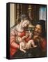 The Holy Family, C. 1527-1530-Jan Gossaert-Framed Stretched Canvas