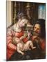 The Holy Family, C. 1527-1530-Jan Gossaert-Mounted Giclee Print